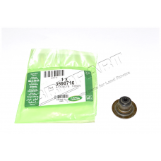 Retainer-Valve Spring