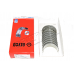 Bearing Set .010 Main