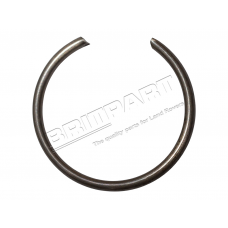 Circlip X 100