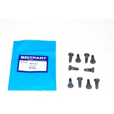 Screw Quantity Of 10
