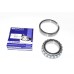 Differential Bearing