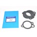 Gasket Elbow Quantity Of 10