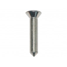 Screw For Door Hinge X 100