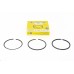 Kit-Piston Ring