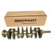 Bearing Crankshaft
