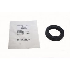 Oil Seal