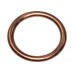 Washer - Copper X 100 Washer - Copper X 100
