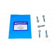 Screw Flanged Quantity Of 5