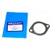 Gasket - Egr Cooler