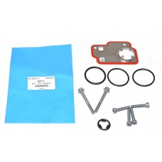 Kit - Oil Seals