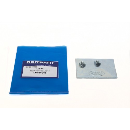 Reinforcement Reinforcement