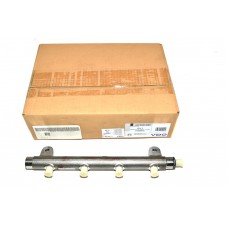 Manifold Assy - Fuel