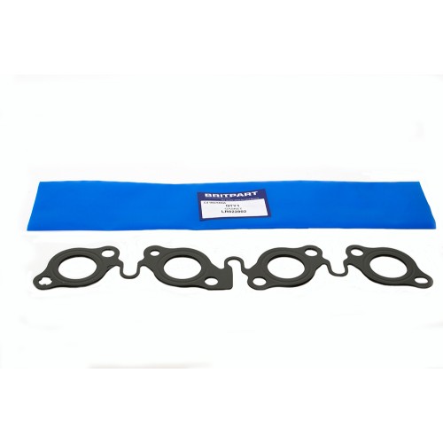 Gasket Gasket