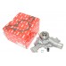 Water Pump - With Gasket