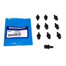 Clip - Retaining Quantity Of 10