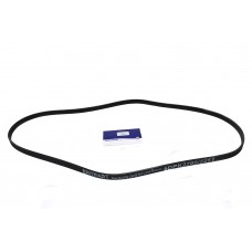 Belt - Ancillary Drive