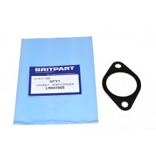 Gasket - Egr Cooler
