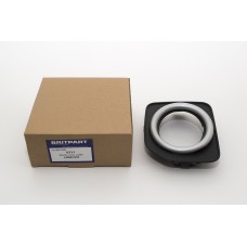 Bezel-Fog Lamp