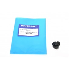 Valve - Bleeder Screw