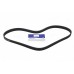 Belt - Accessory Drive Belt - Accessory Drive