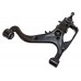 Arm - Front Suspension