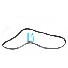 Belt - Accessory Drive