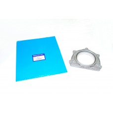 Seal-Oil-Crankshaft Rear
