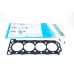 Gasket - Cylinder Head Gasket - Cylinder Head