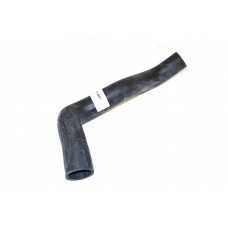 Hose - Bottom Radiator