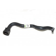 Hose - Radiator