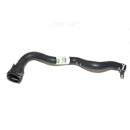 Hose - Radiator Hose - Radiator