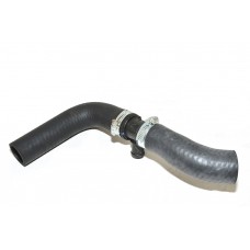 Hose - Radiator