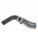 Hose - Radiator