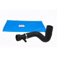 Hose - Radiator