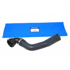 Hose - Radiator