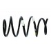 Spring - Coil Spring - Coil
