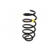 Spring - Coil Spring - Coil