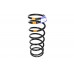 Spring-Coil Spring-Coil