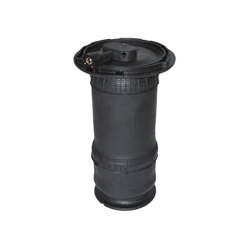 Spring Rear Air-Susp. Spring Rear Air-Susp.