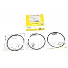 Piston Ring Std