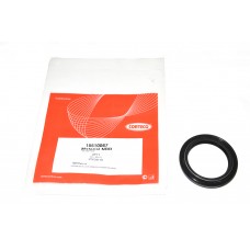 Oil Seal