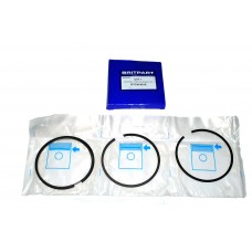 Petrol Piston Ring 010