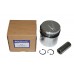 Diesel Piston 030