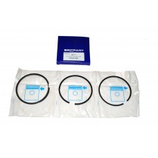 2.5 D Piston Ring 020