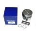 Piston Assy
