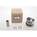 Piston Assy