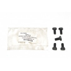 Screw Quantity Of 10