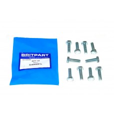 Bolt Quantity Of 10
