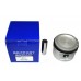Piston Assy