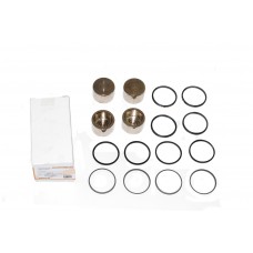 Piston Kit - Front Caliper Brake